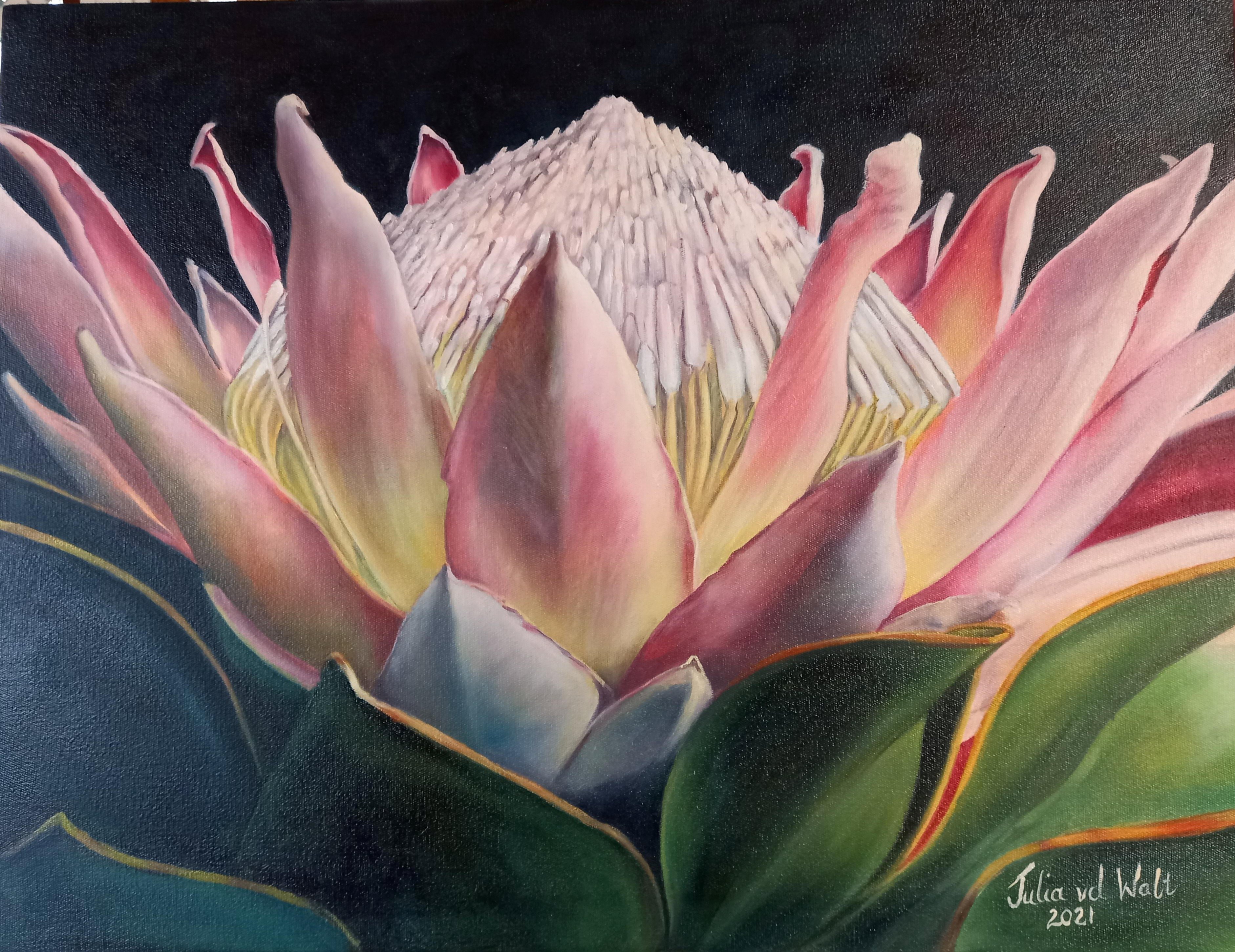 King Protea